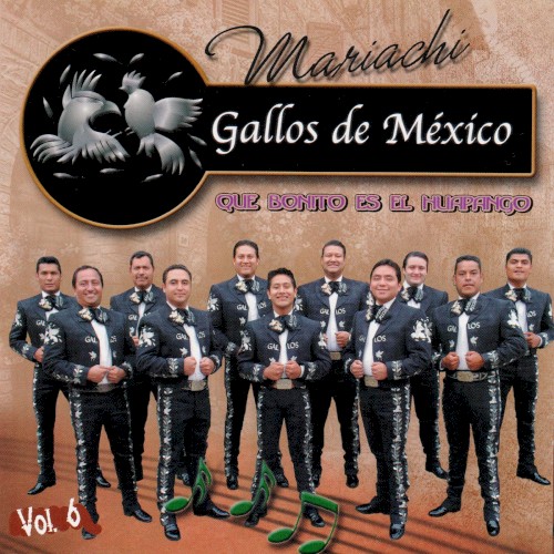 Que Bonito Es el Huapango, Vol. 6