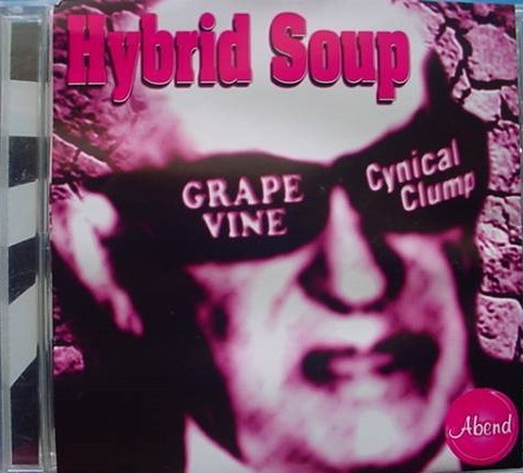 Hybrid Soup
