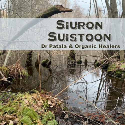 Siuron Suistoon