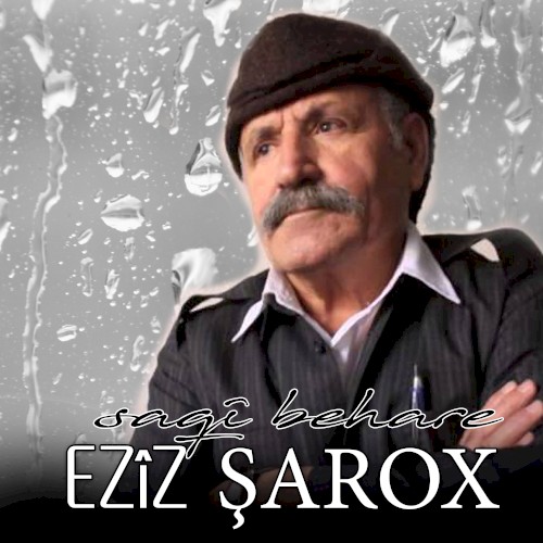 Saqî Behare