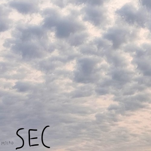 microSEC