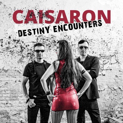 Destiny Encounters