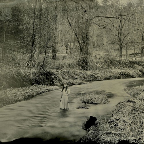 Shadows in the Shallows