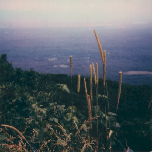 Underwritten VI