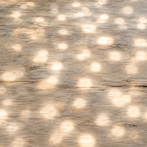 ambient kyoto 0061