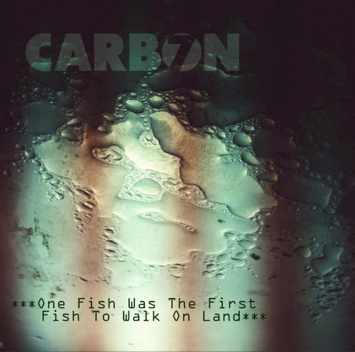 One Fish Was The First Fish To Walk On Land