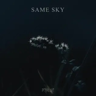 Same Sky