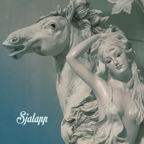 Sjalapp