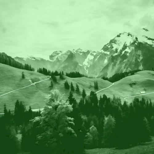 GREEN 15