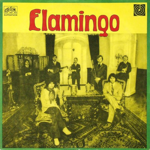 Flamingo