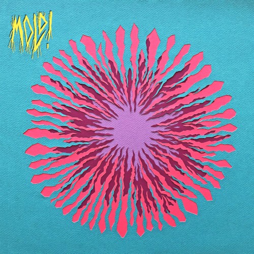 MOLD!