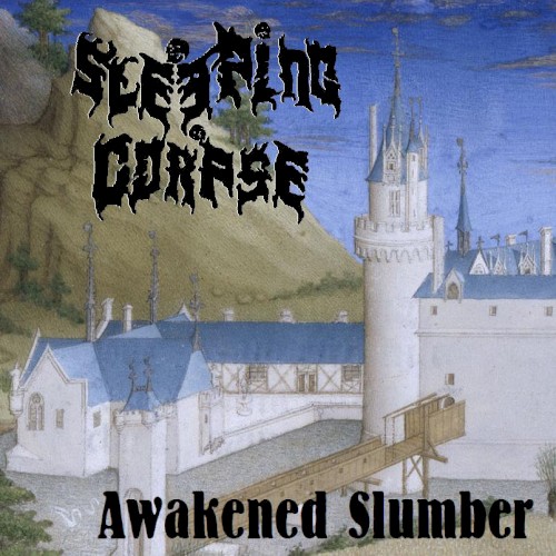 Awakened Slumber