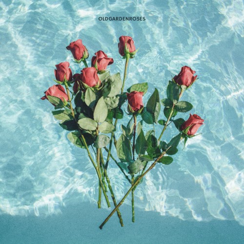 OLDGARDENROSES