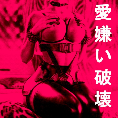愛嫌い 破壊