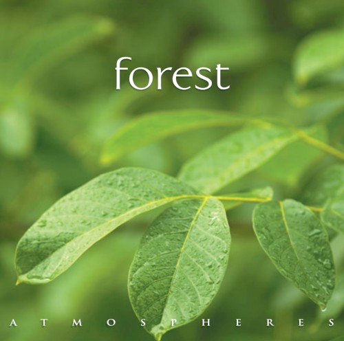 Forest | Atmospheres
