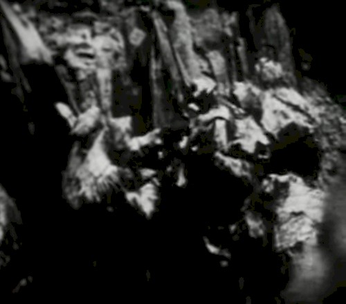Begotten Chapter XI