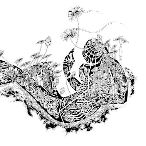 LOTUS ROOT