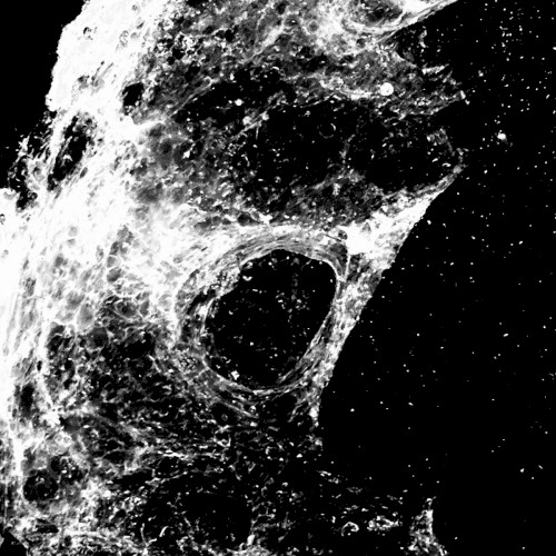 CRUSHING THE SCEPTER - INHUMED