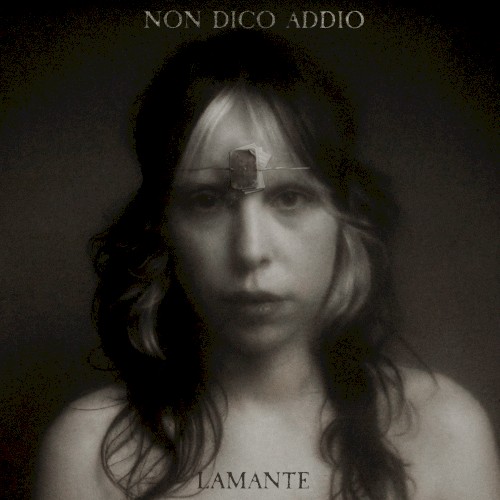 Non dico addio
