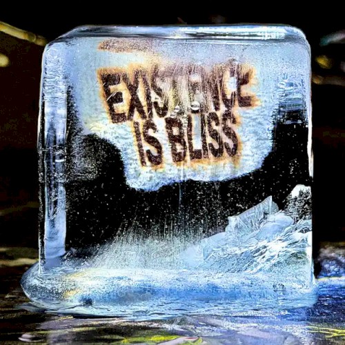 Existence Is Bliss