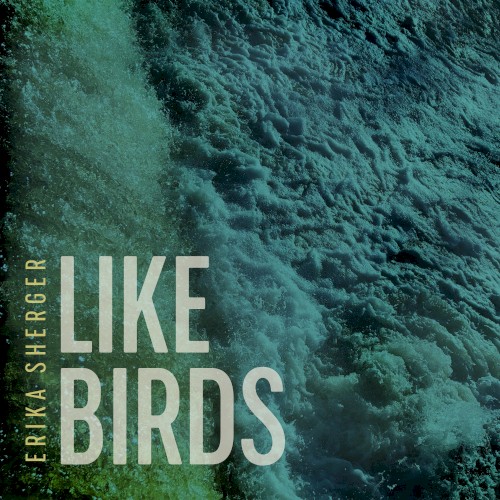 Like Birds