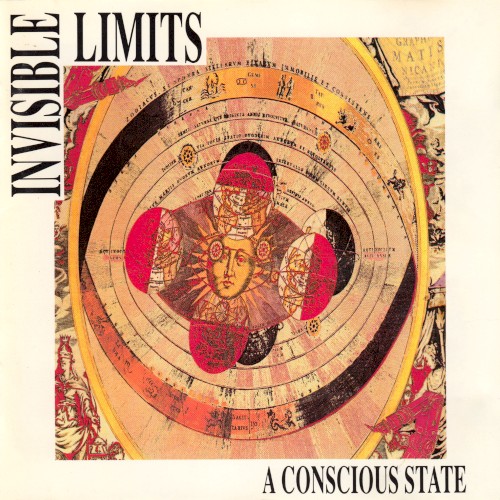 A Conscious State