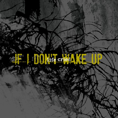 If I Don't Wake Up