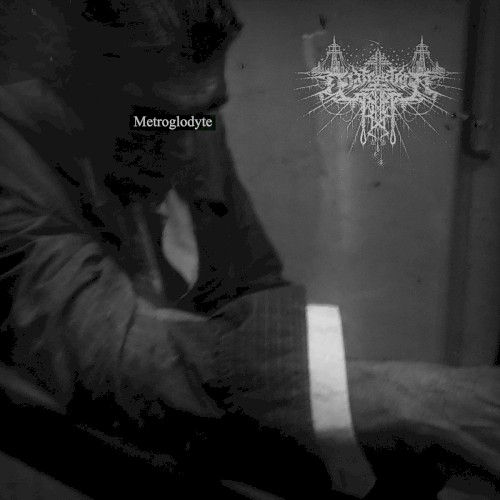 Metroglodyte
