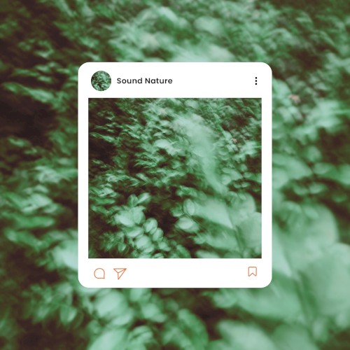 Sound Nature