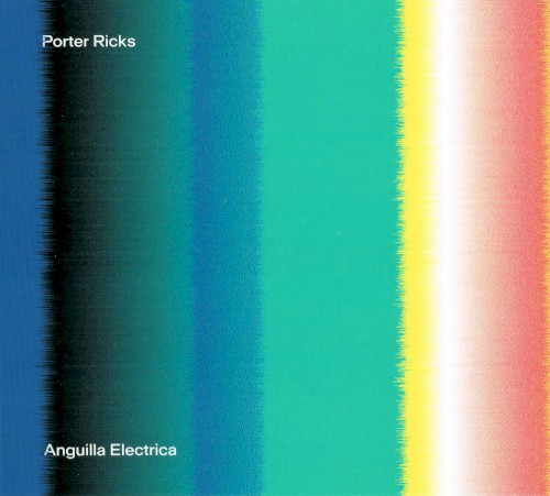 Anguilla Electrica