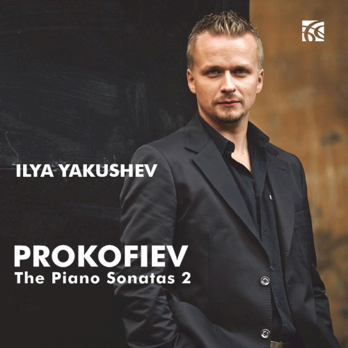 The Piano Sonatas 2