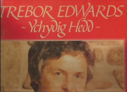 Ychydig Hedd