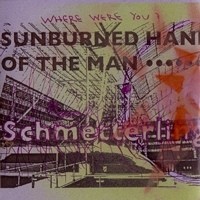 Schmetterling