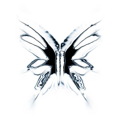Lepidoptera