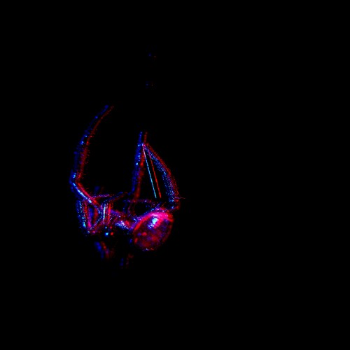 Parallax Phase
