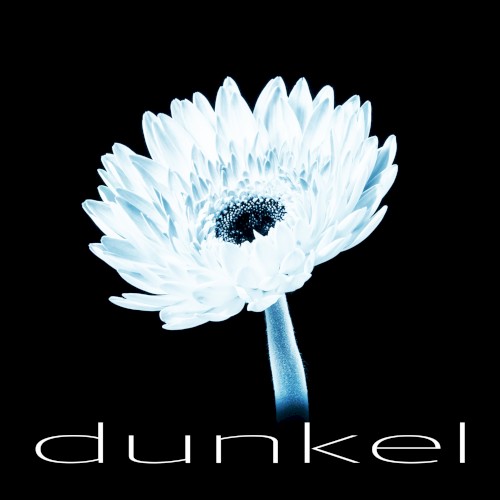dunkel