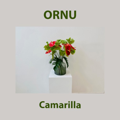 Camarilla