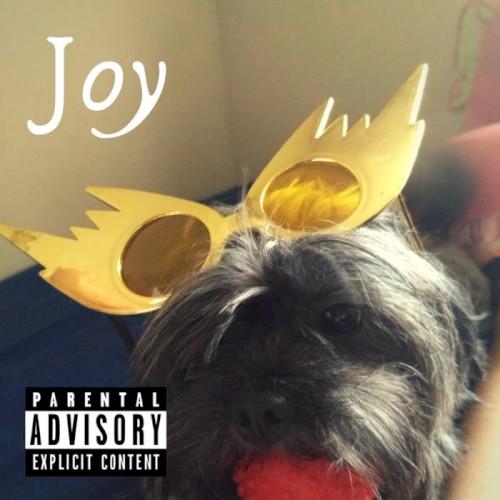 Joy