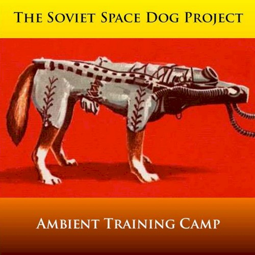 Ambient Training Camp