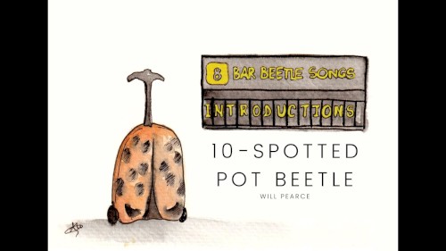 8‐Bar Beetle Songs II: Introductions