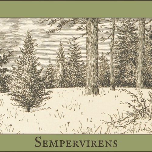 Sempervirens