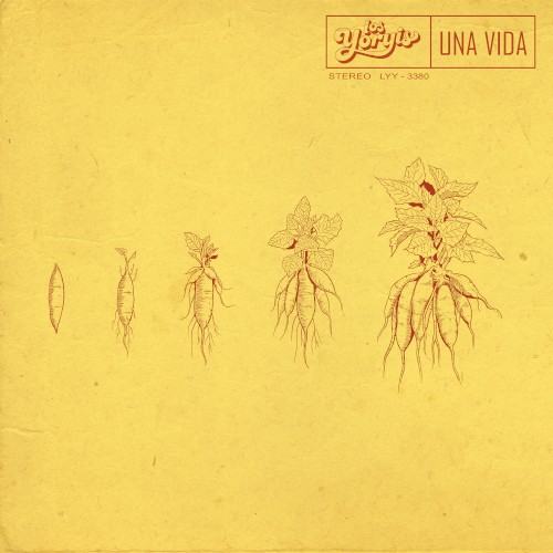 Una vida