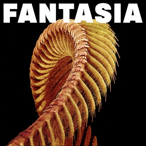 FANTASIA