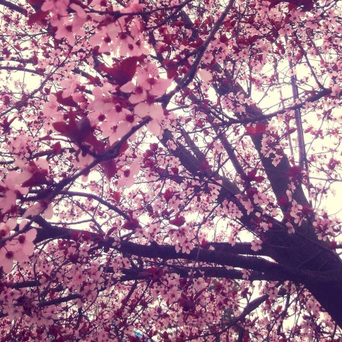 Spring-Time/Post-Irony