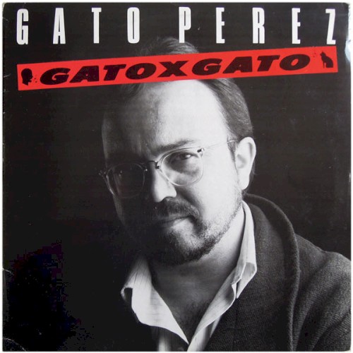 Gato X Gato