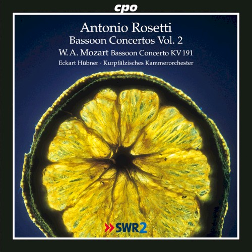Bassoon Concertos, Vol. 2