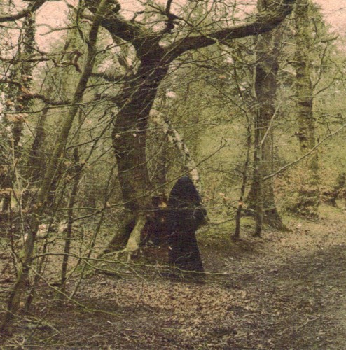 Hills! Werewolves! Run! 3