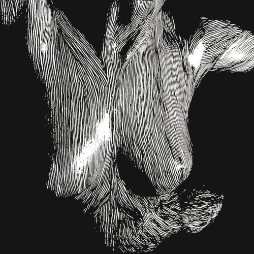 Oceansize &ndash; Self Preserved While the Bodies Float Up