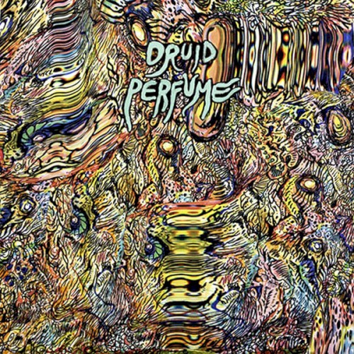 Life in the Bog
