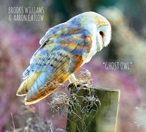 Ghost Owl